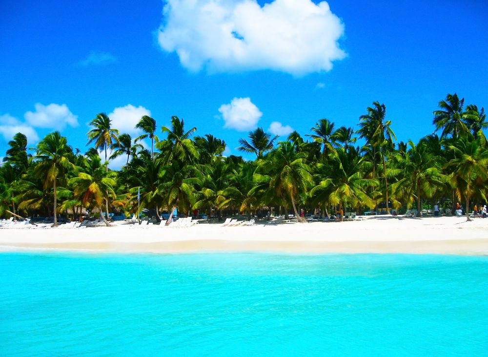 Wyspa Saona